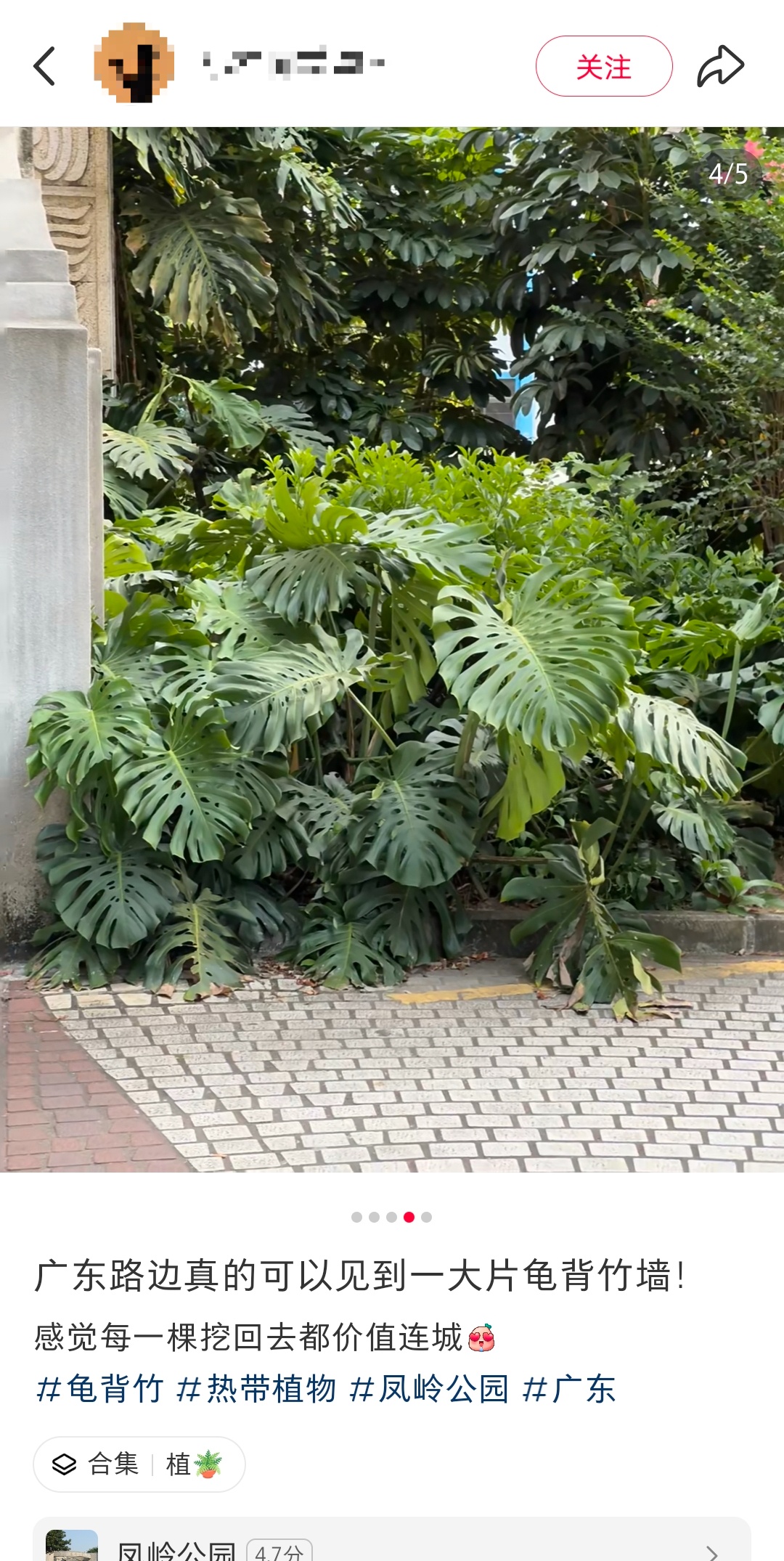 不要捡，不要摘，不要吃！官方提醒→