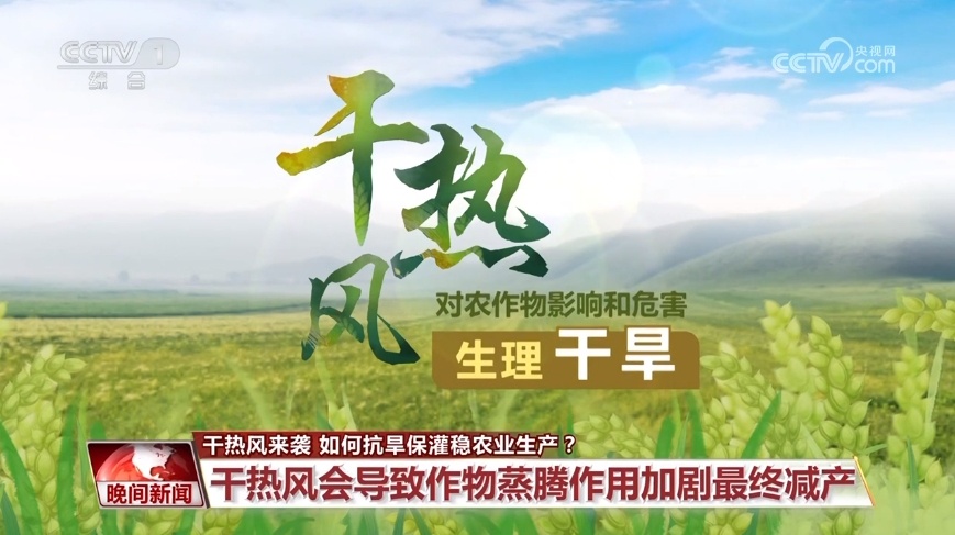 干热风来袭 如何抗旱保灌稳农业生产？