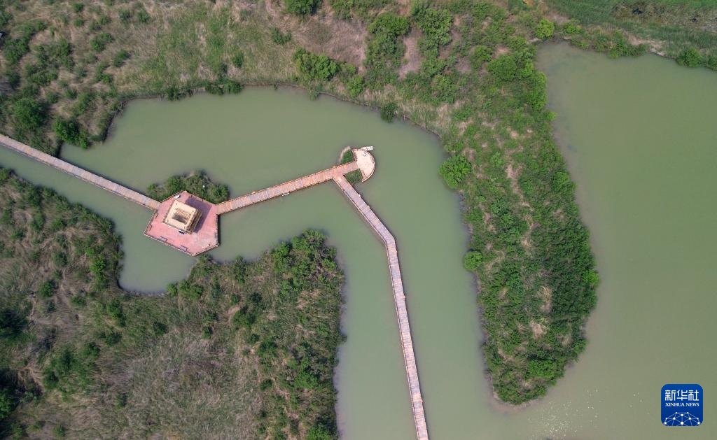 黄河三角洲生机盎然