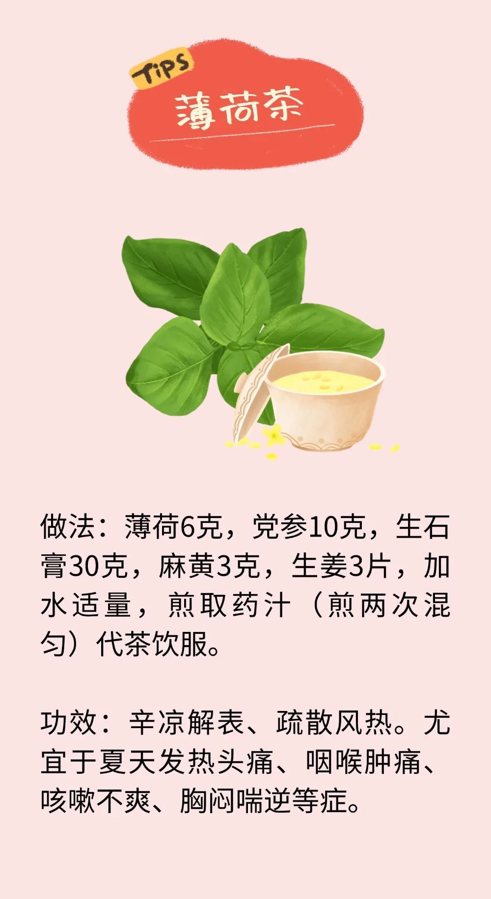 18款适合夏季的养生茶，从头到脚都能调！对着症状喝，身体乐开花