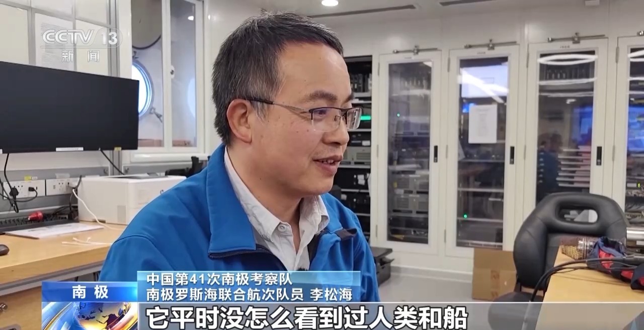 我的南极日记丨超“鲸”喜!科考船偶遇萌物“探班” 我的南极日记丨超“鲸”喜!科考船偶遇萌物“探班”