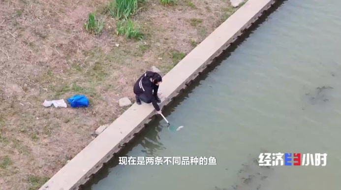 低空经济火了!这些“会飞”的新职业正吃香 低空经济火了!这些“会飞”的新职业正吃香