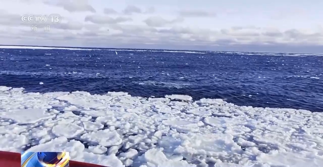 我的南极日记丨超“鲸”喜!科考船偶遇萌物“探班” 我的南极日记丨超“鲸”喜!科考船偶遇萌物“探班”