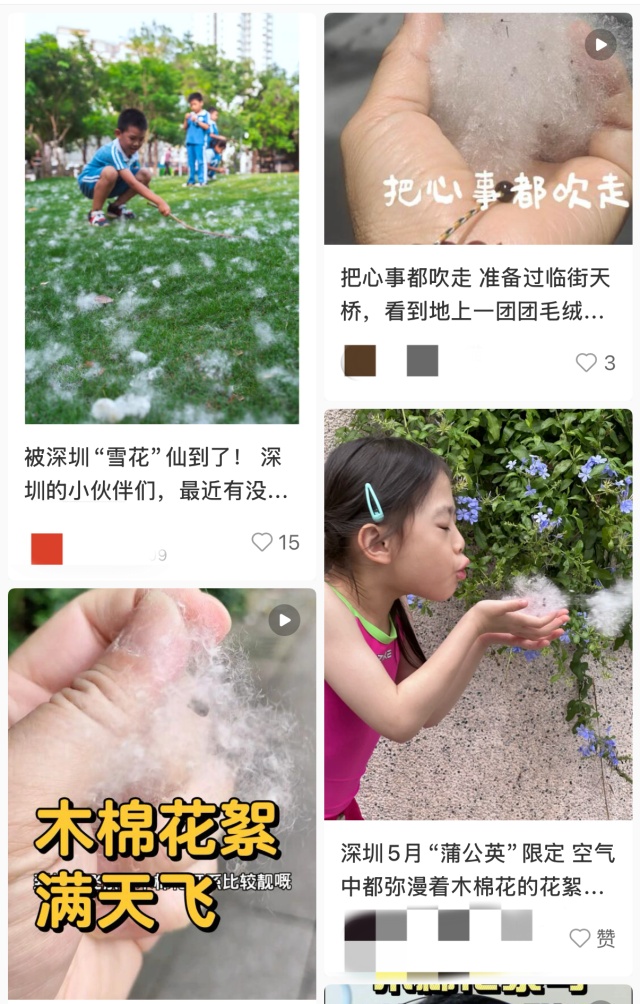 深圳五月“限定雪景”刷屏？别慌！