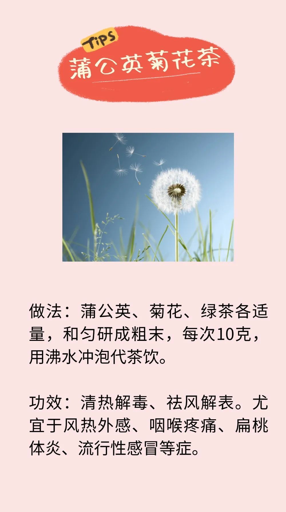 18款适合夏季的养生茶，从头到脚都能调！对着症状喝，身体乐开花