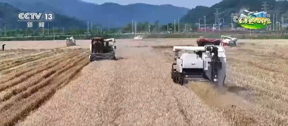 科技赋能农业生产“加速跑” 希望的田野描绘多彩丰收图景 科技赋能农业生产“加速跑” 希望的田野描绘多彩丰收图景