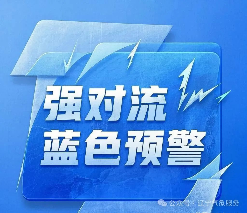 沈阳发布预警！中雨+局地雷电短时强降水！这些事必须注意！