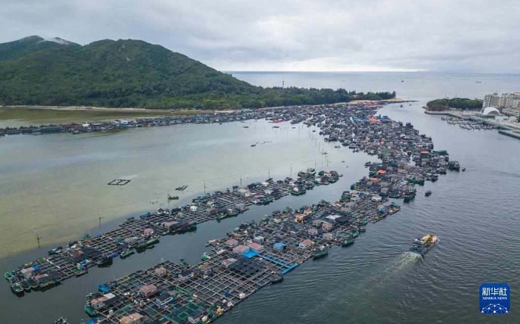 文化中国行丨以船为家 向海而生——博物馆里的海南疍家文化