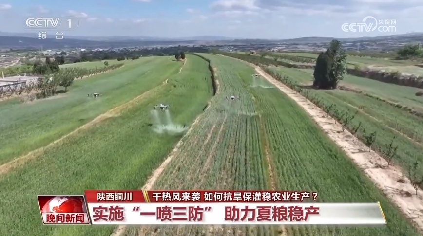 干热风来袭 如何抗旱保灌稳农业生产？