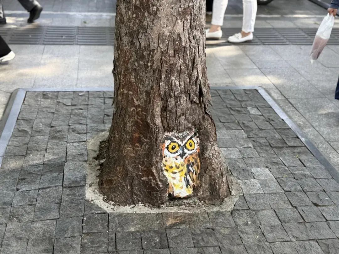 敲可爱！上海市中心这座公园，树上竟"长"出了动物→