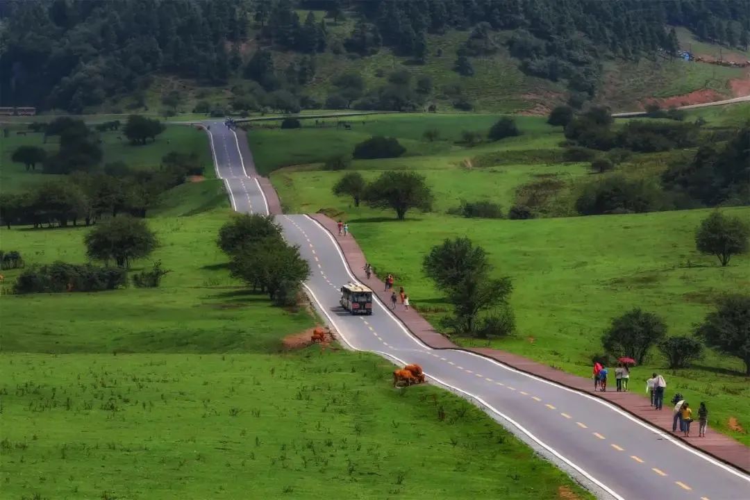 免门票!半价!重庆各大景区等你来玩! 免门票!半价!重庆各大景区等你来玩!