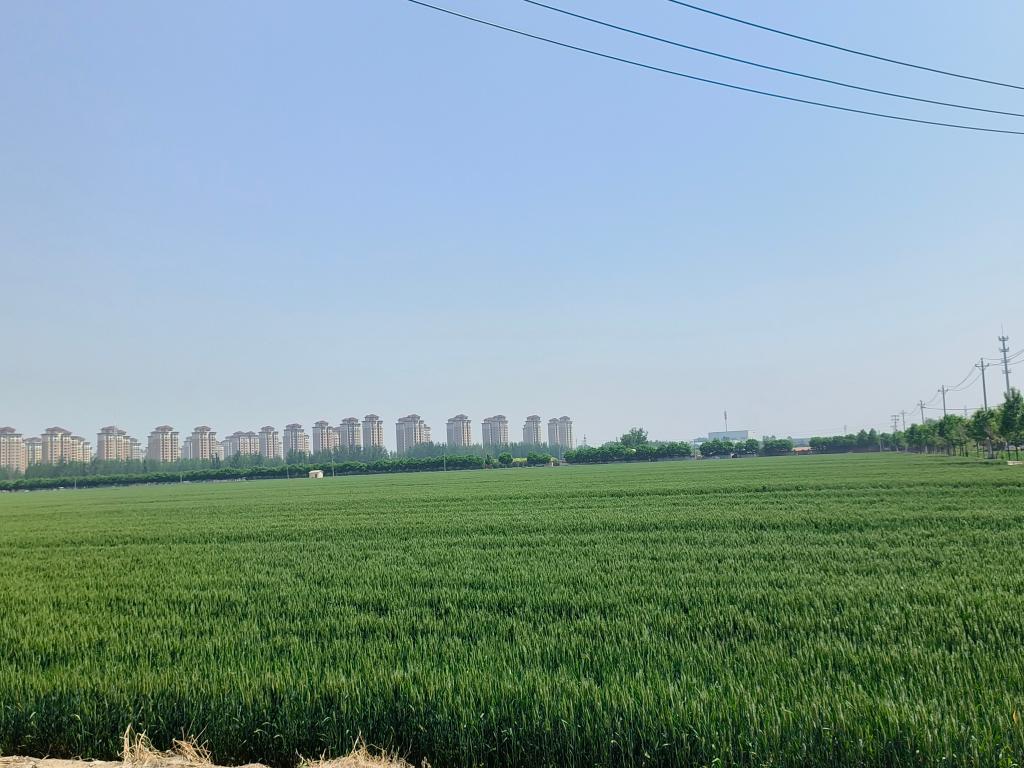 小村新事:小村里的“分红经济学” 小村新事:小村里的“分红经济学”