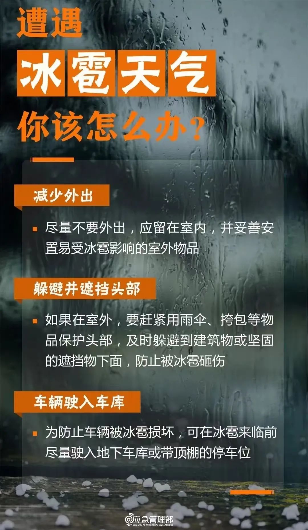 沈阳发布预警！中雨+局地雷电短时强降水！这些事必须注意！
