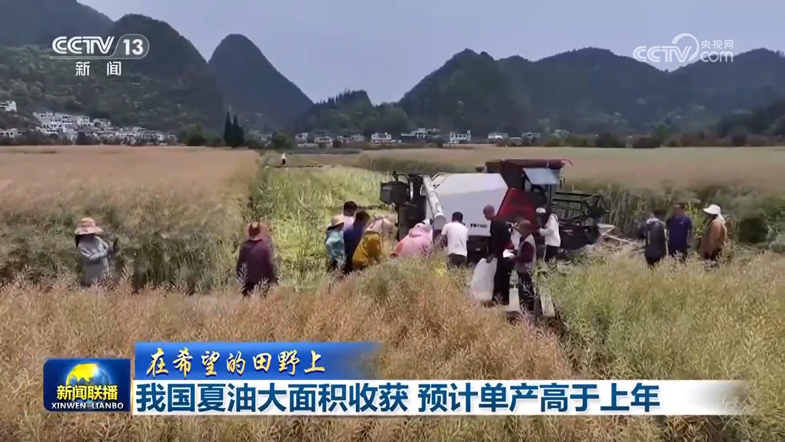 【在希望的田野上】我国夏油大面积收获 预计单产高于上年 【在希望的田野上】我国夏油大面积收获 预计单产高于上年
