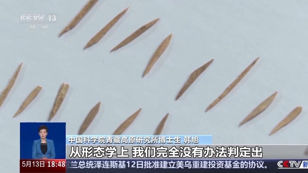 看科技考古如何还原“世界屋脊”西藏玛不错先民生活 看科技考古如何还原“世界屋脊”西藏玛不错先民生活