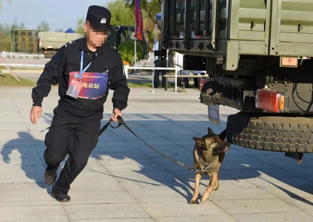 向无言的英雄致敬！功勋犬“极君星”离世，生前参与缴毒超80公斤