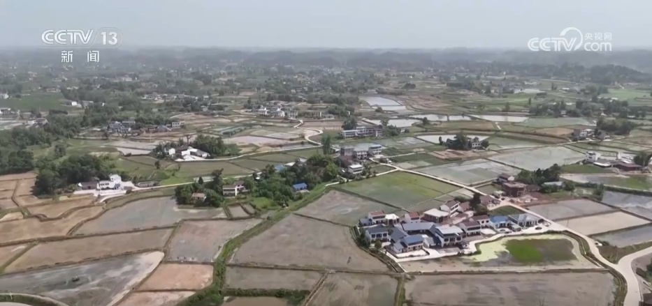 科技赋能农业生产“加速跑” 希望的田野描绘多彩丰收图景 科技赋能农业生产“加速跑” 希望的田野描绘多彩丰收图景