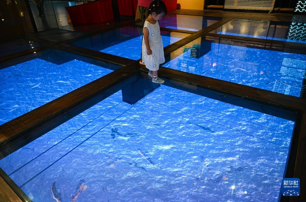 文化中国行丨以船为家 向海而生——博物馆里的海南疍家文化