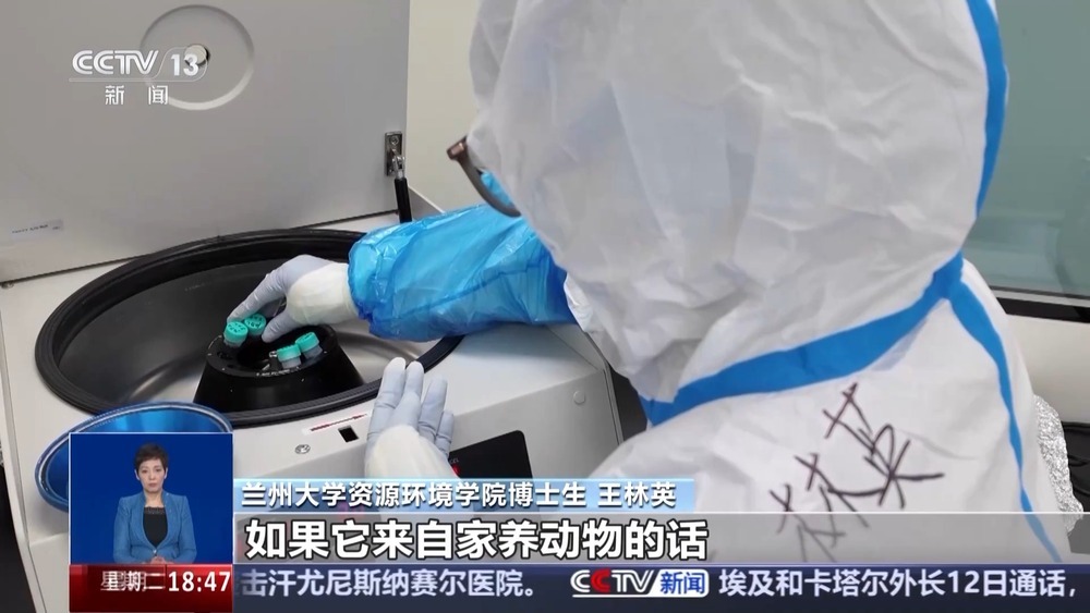 看科技考古如何还原“世界屋脊”西藏玛不错先民生活 看科技考古如何还原“世界屋脊”西藏玛不错先民生活