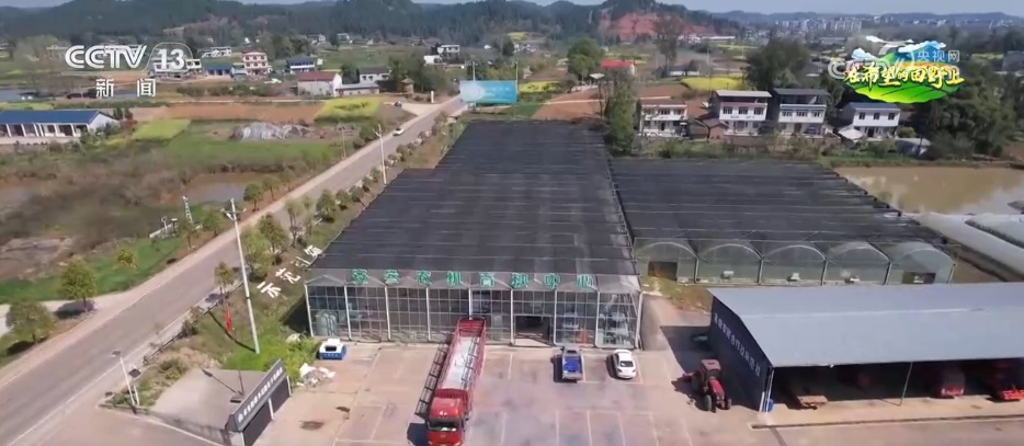 科技赋能农业生产“加速跑” 希望的田野描绘多彩丰收图景 科技赋能农业生产“加速跑” 希望的田野描绘多彩丰收图景