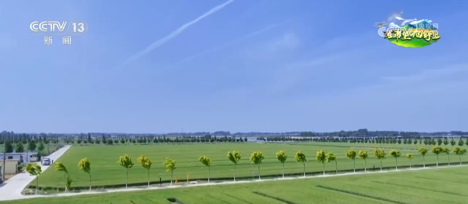 科技赋能农业生产“加速跑” 希望的田野描绘多彩丰收图景 科技赋能农业生产“加速跑” 希望的田野描绘多彩丰收图景