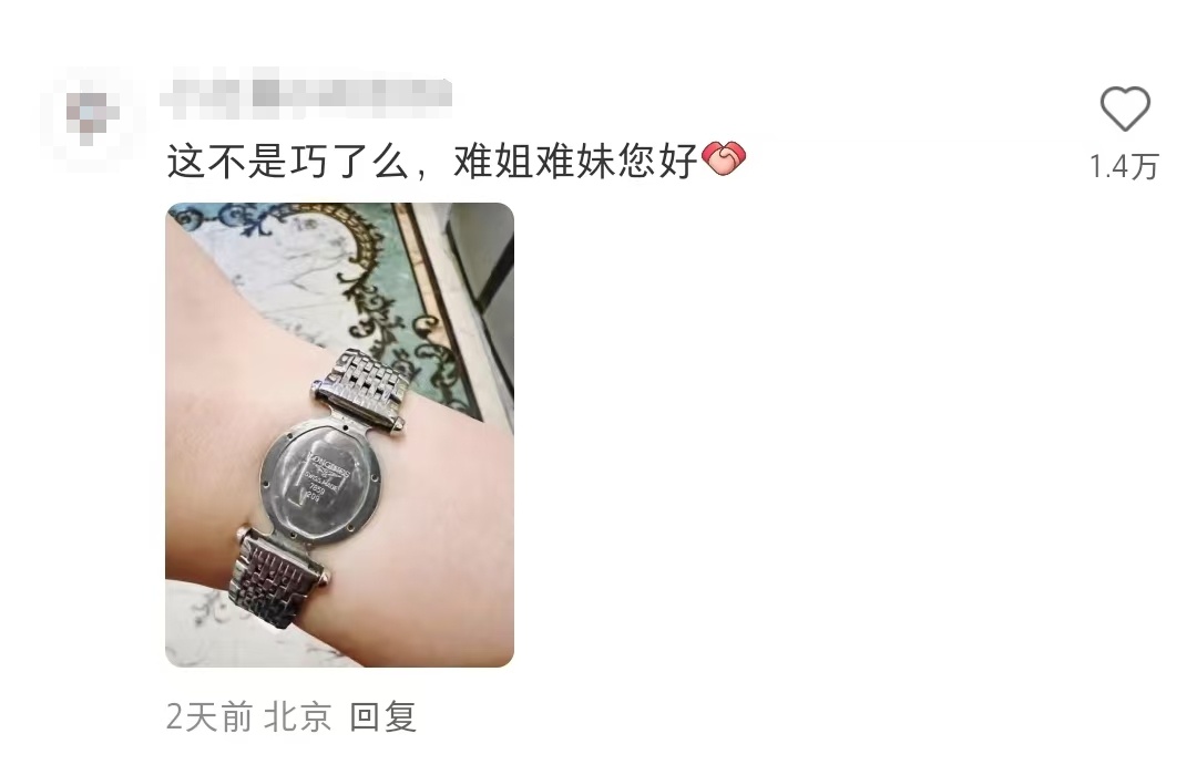 花了上万，“浪还在，琴没了”！