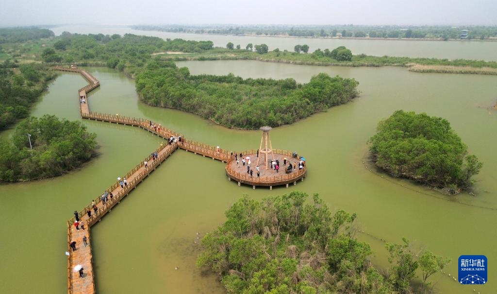 黄河三角洲生机盎然