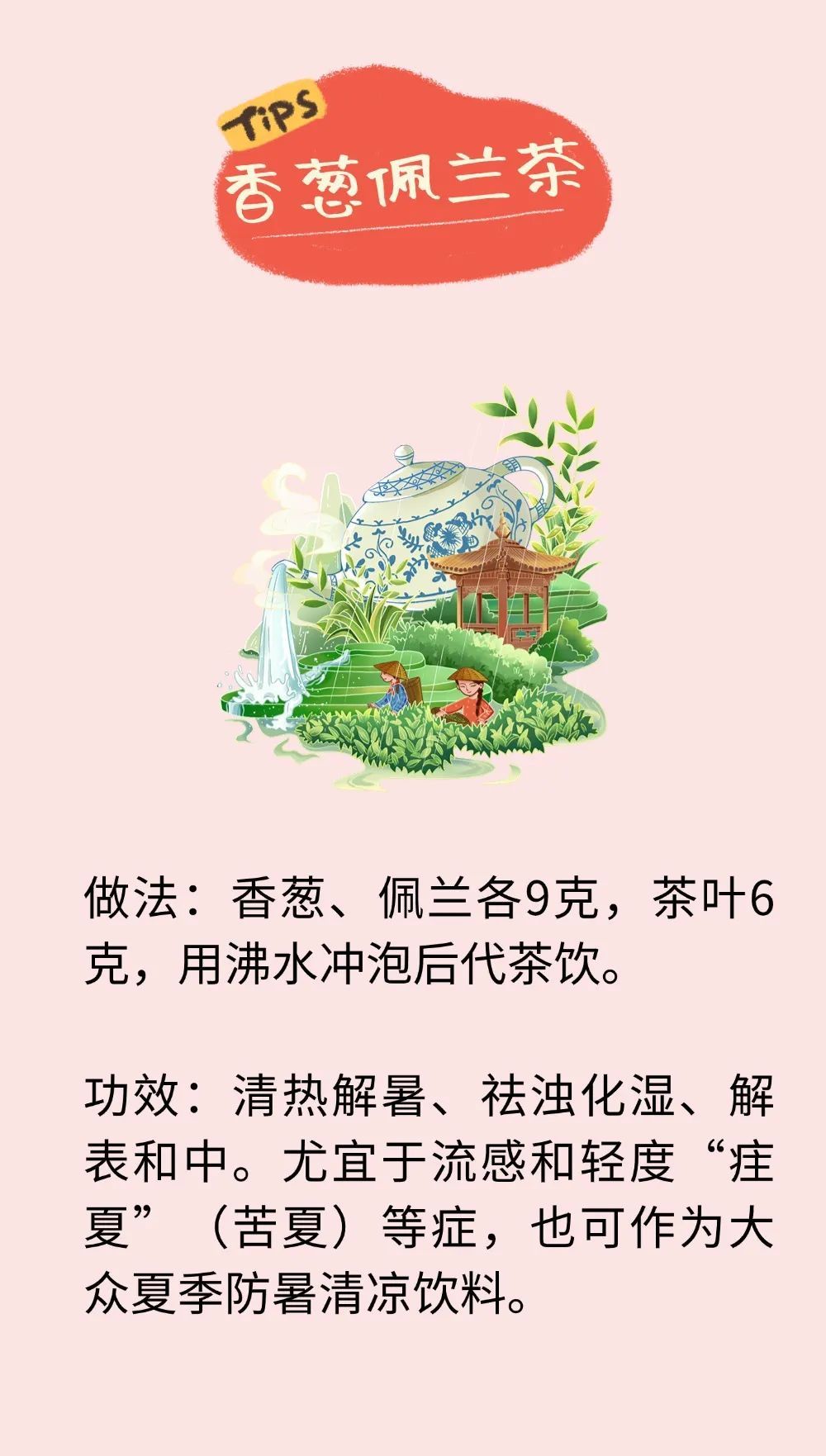 18款适合夏季的养生茶，从头到脚都能调！对着症状喝，身体乐开花