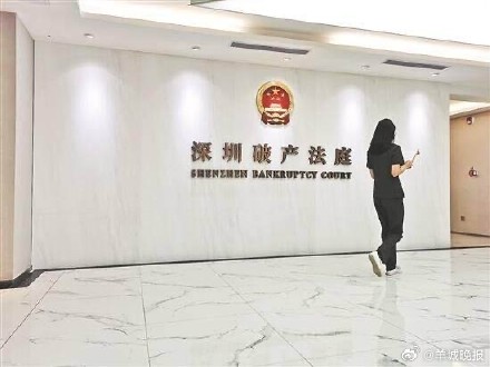 退休夫妻负债1.2亿 从深圳两宗个人破产申请引发热议可以看到什么？