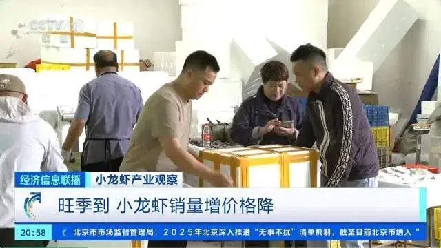 价格大跳水，下跌50%！接下来还会降