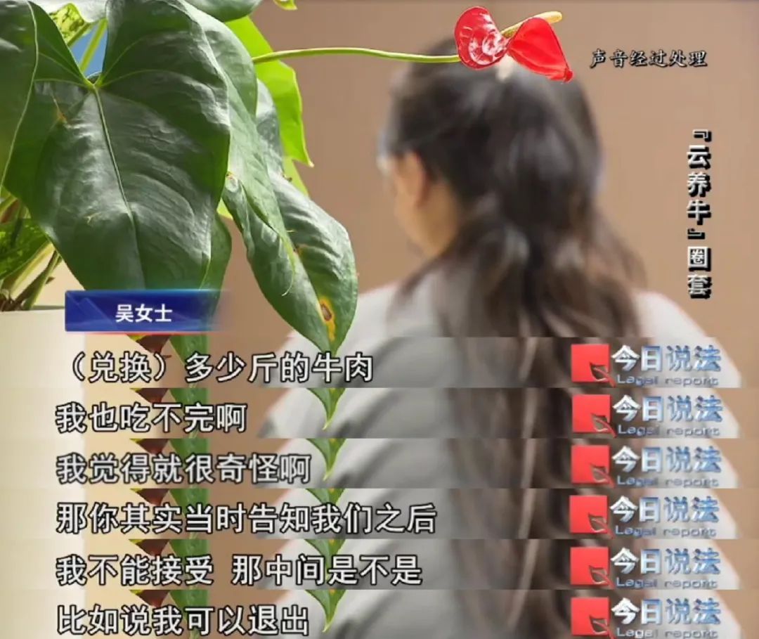 上百万元理财款竟变成牛肉，明明当初是投资的“云养牛”项目