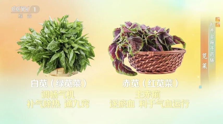 钙含量比牛奶还高！你家餐桌上的“长寿菜”，补钙、护血管、清热祛湿～夏天推荐你多吃