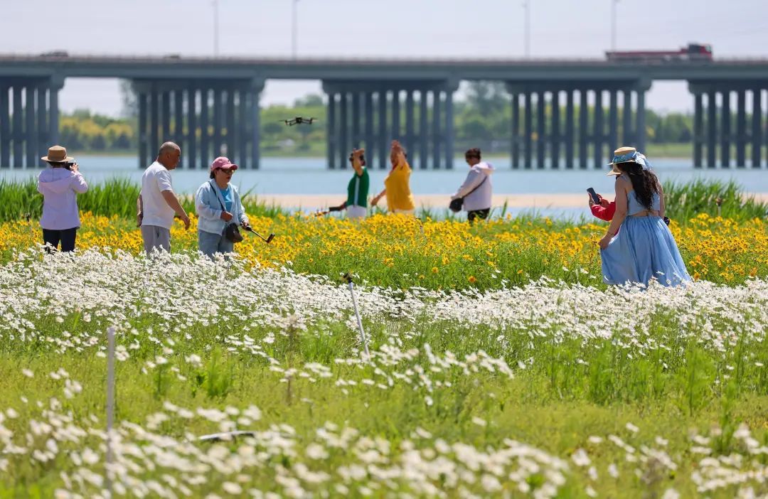 哇!滹沱河美的不像话,像画! 哇!滹沱河美的不像话,像画!