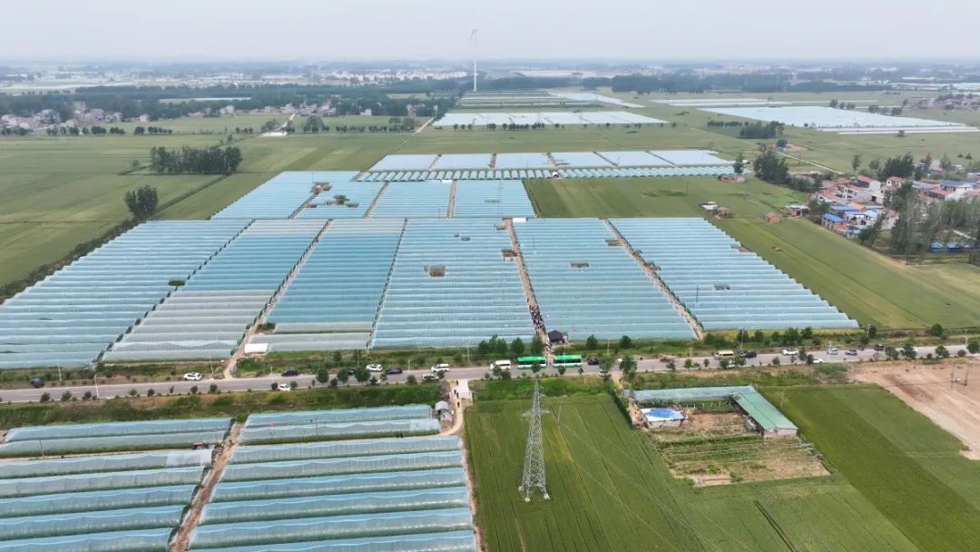 河南90后验瓜师每天拍瓜上万次，日入1600元