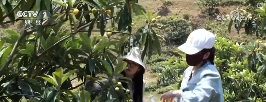 尝“鲜”经济带火旅游消费 激活吃、住、游、购、娱综合消费新动能