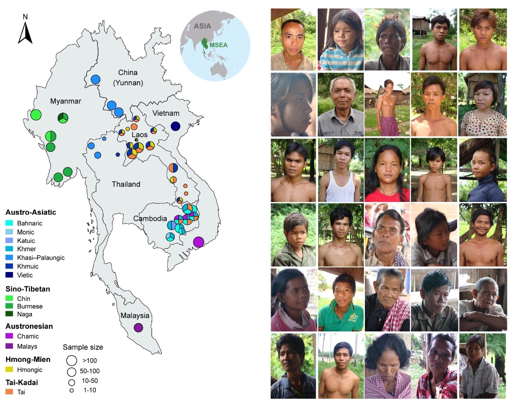 适应雨林？古人类混血？东南亚人群基因组被破译