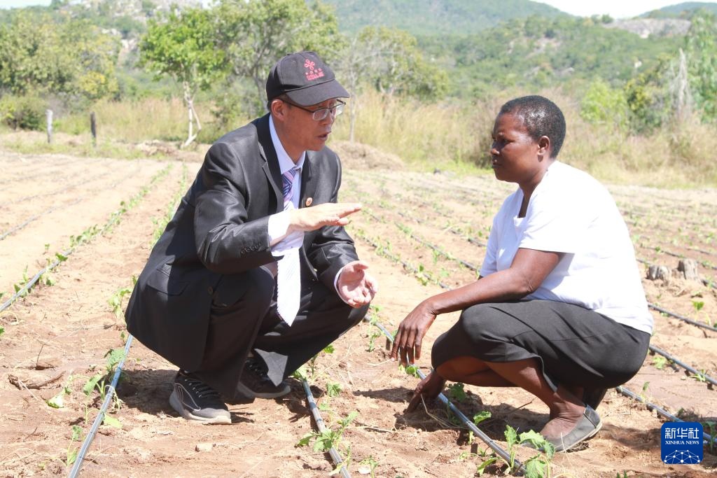 中国—津巴布韦农业合作示范村在津中马绍纳兰省揭牌