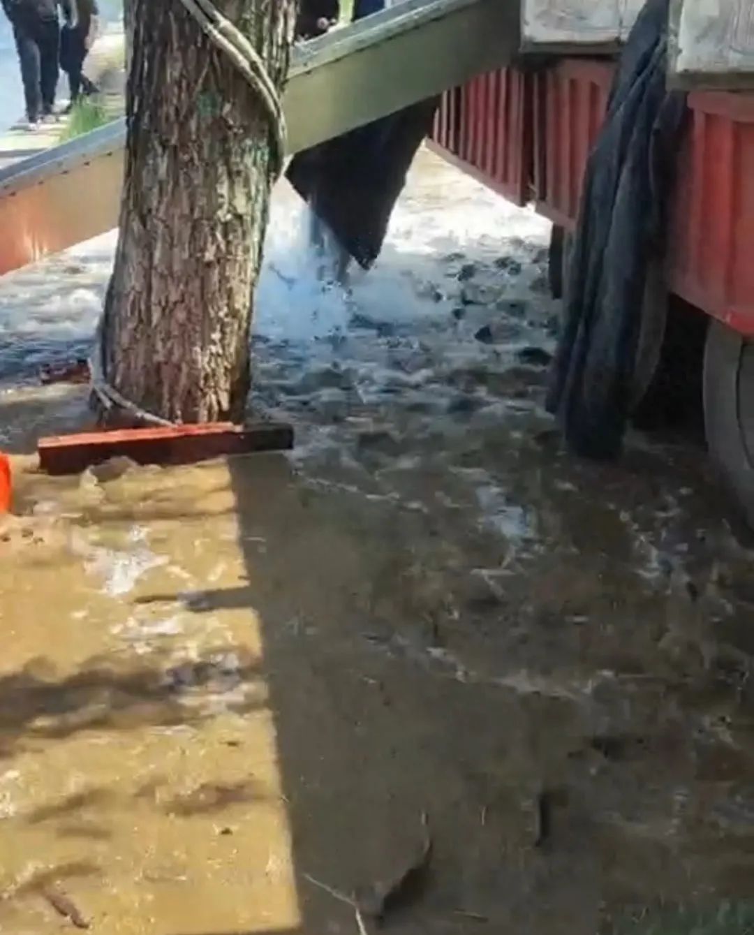 用网,用麻袋…北京亮马河增殖放流,成了这些人“狂欢”? 用网,用麻袋…北京亮马河增殖放流,成了这些人“狂欢”?