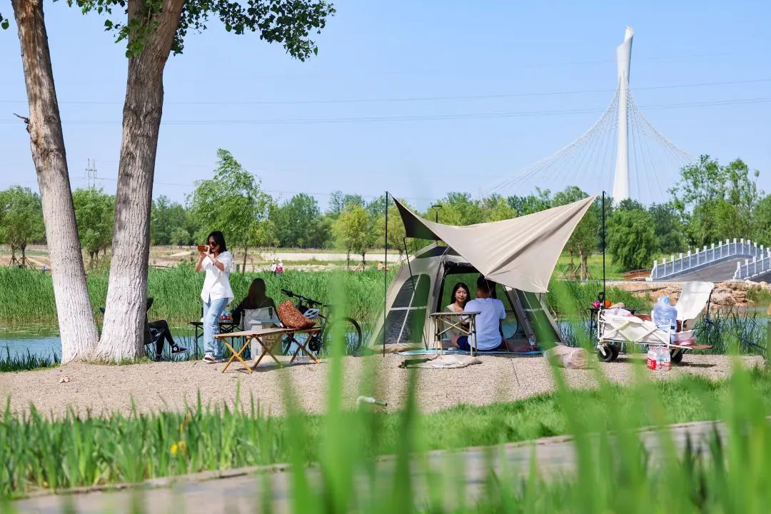 哇!滹沱河美的不像话,像画! 哇!滹沱河美的不像话,像画!