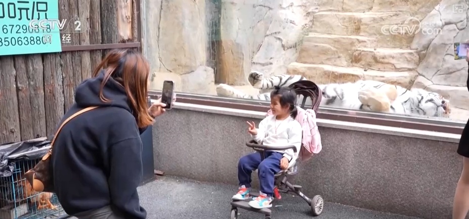 “动物园+”延长产业链撬动消费新活力 花式揽客、限定美景“破圈”圈粉