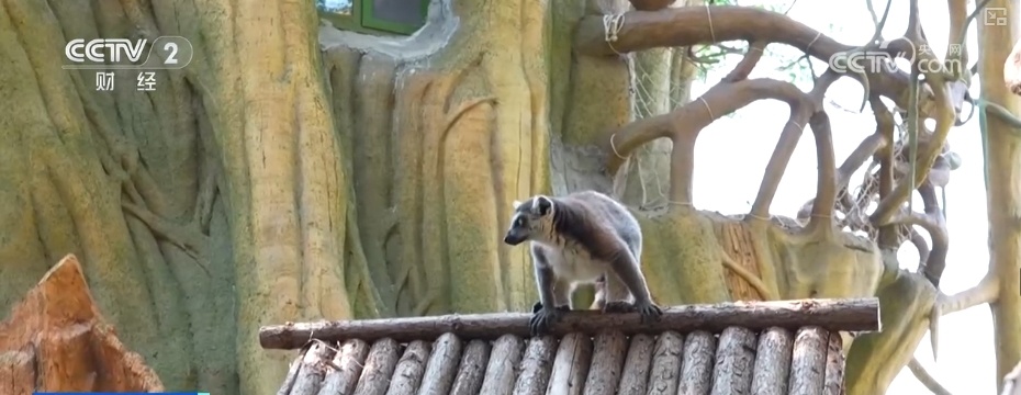 “动物园+”延长产业链撬动消费新活力 花式揽客、限定美景“破圈”圈粉
