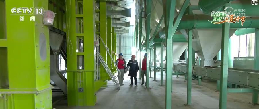 “智慧种地”提质增效助力夏粮丰产丰收 科技赋能绘就现代农业新图景