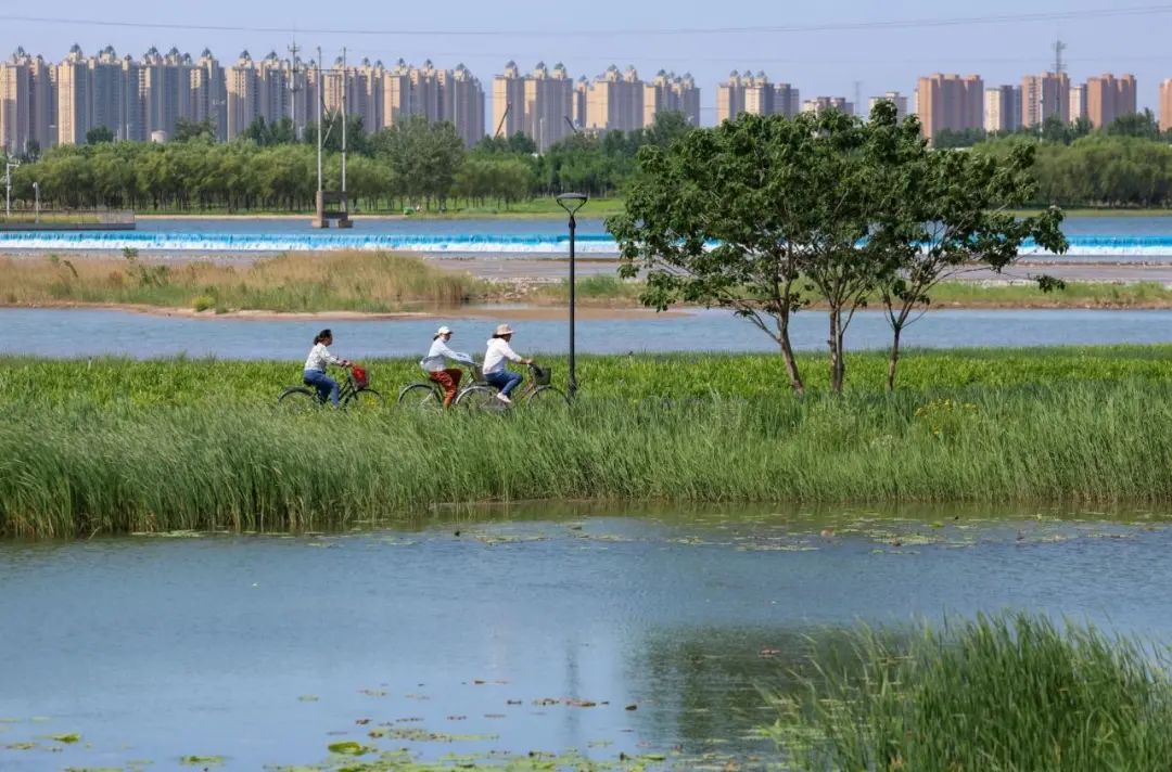 哇!滹沱河美的不像话,像画! 哇!滹沱河美的不像话,像画!