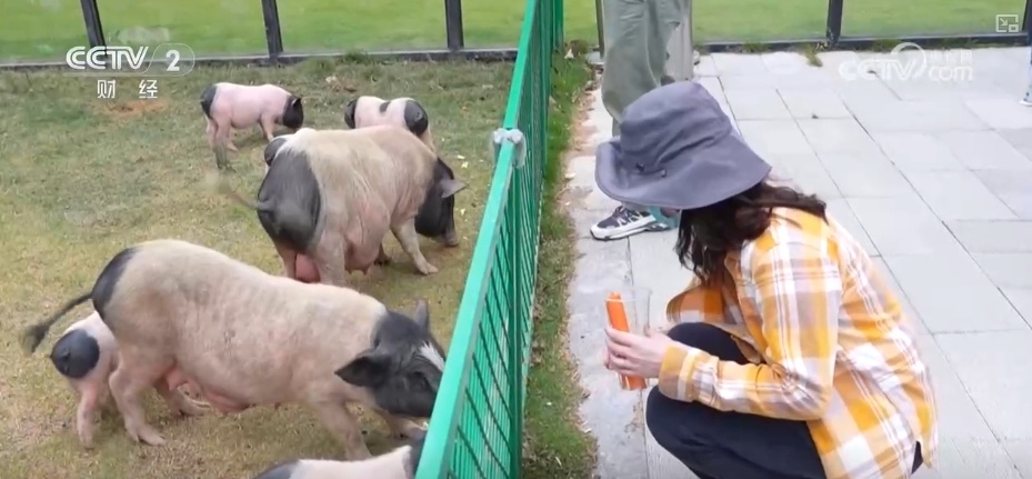 “动物园+”延长产业链撬动消费新活力 花式揽客、限定美景“破圈”圈粉