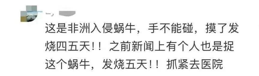 福建开展专项行动！近期路边看见它们，千万别碰！