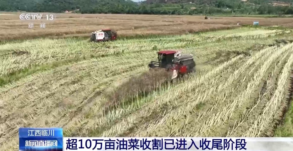 机械化收割、“一喷三防”全覆盖 为夏粮丰收保驾护航