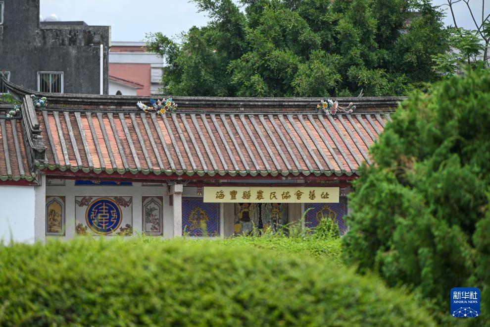 新时代中国调研行之文化中华｜彭湃故里传承红色文化基因