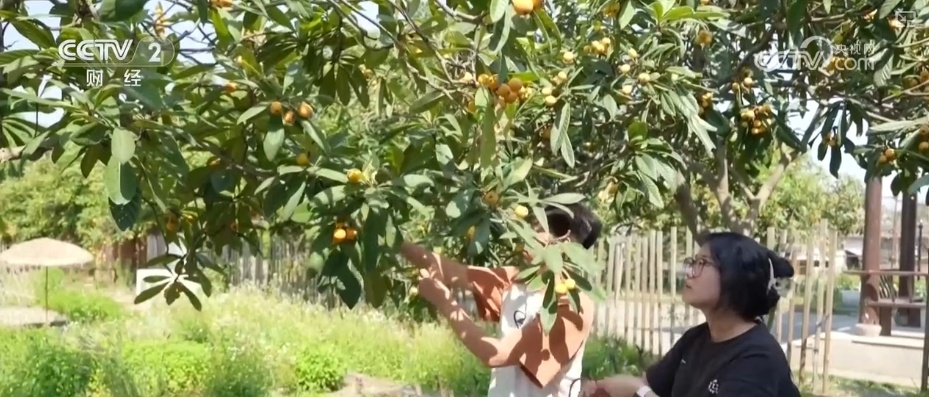 尝“鲜”经济带火旅游消费 激活吃、住、游、购、娱综合消费新动能