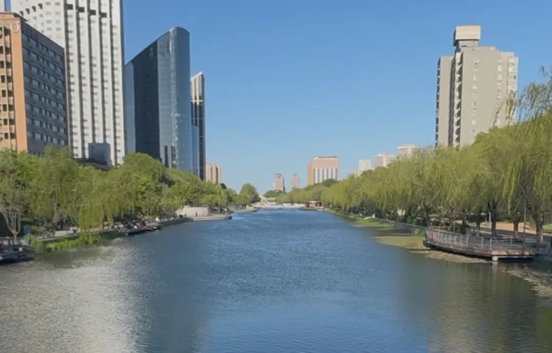 用网,用麻袋…北京亮马河增殖放流,成了这些人“狂欢”? 用网,用麻袋…北京亮马河增殖放流,成了这些人“狂欢”?