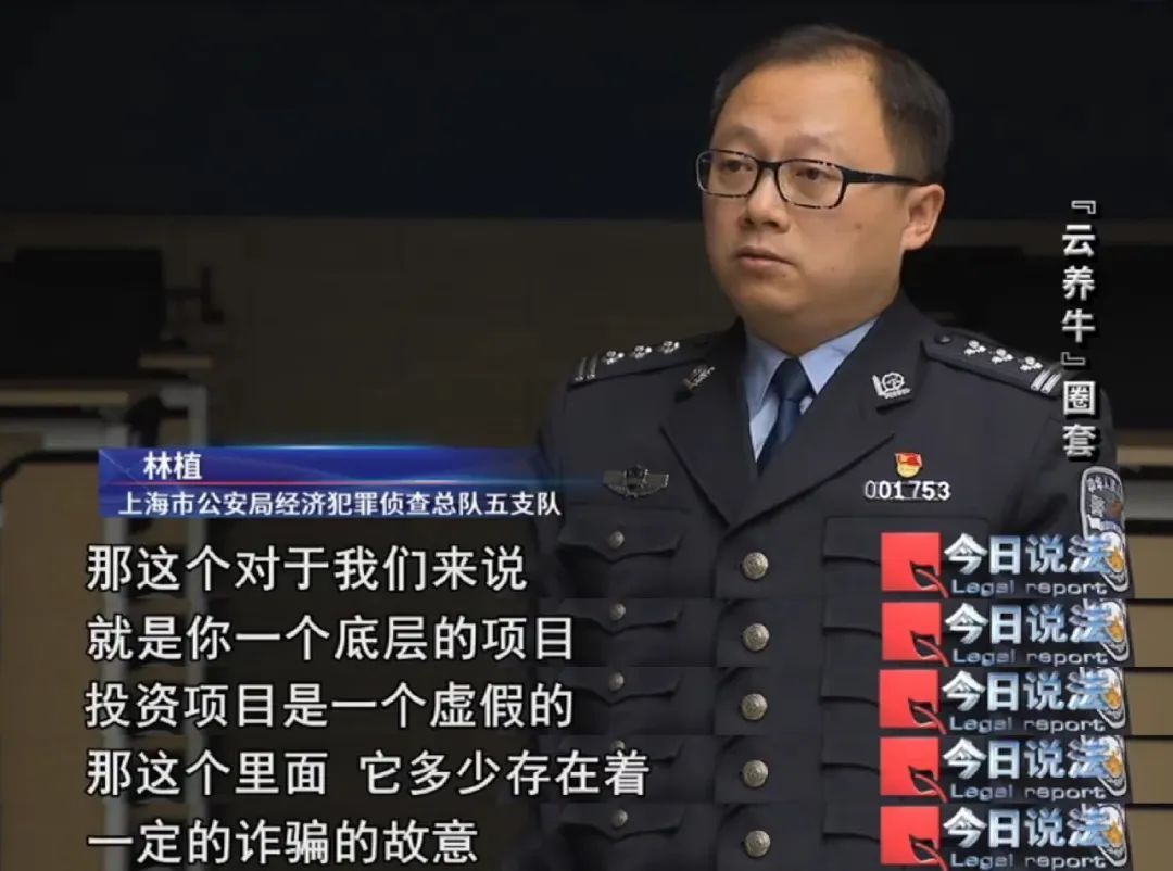 上百万元理财款竟变成牛肉，明明当初是投资的“云养牛”项目